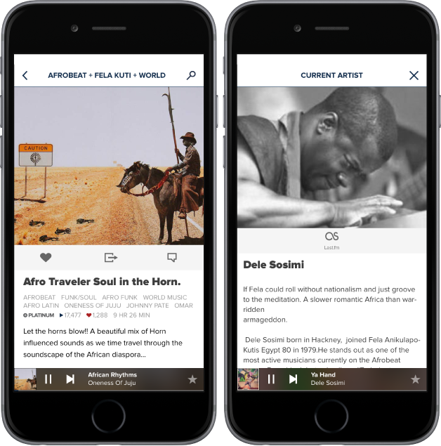 iOS — playlist detail and artist bio
